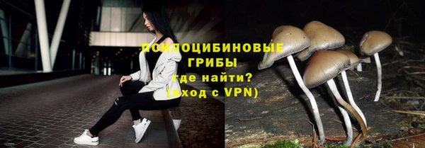 спайс Богданович