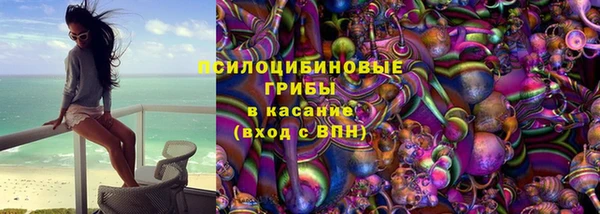 спайс Богданович