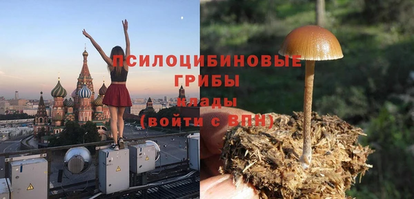 спайс Богданович