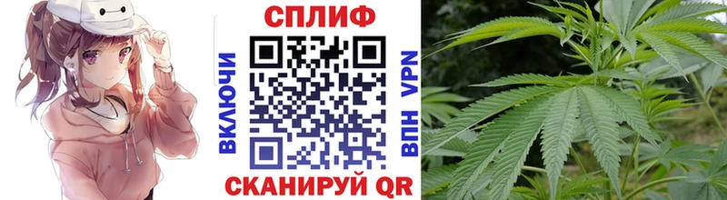 Шишки марихуана семена  Купить закладки  Маркс 